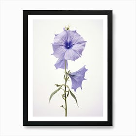 Pressed Wildflower Botanical Art Tall Bellflower 2 Art Print