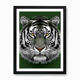 White Tiger 1 Art Print