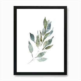 Watercolor Leaf, Olive Branch 5 Art Print