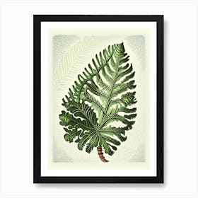 Rock Cap Fern Vintage Botanical Poster Art Print