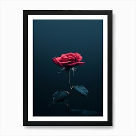 Dark Rose 49 Art Print