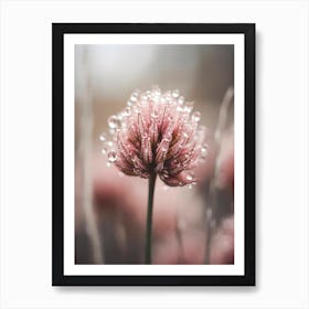 Pastel Nature Macro No 4 Art Print