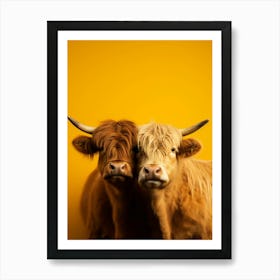 Portrat Of Two Highland Cows Art Print