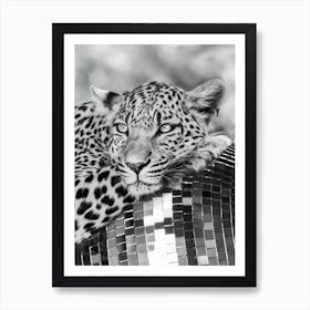 Disco Leopard Jaguar Animal Black White 3x4 Art Print