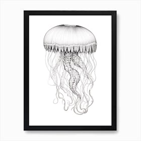 Mauve Stinger Jellyfish Drawing 2 Art Print