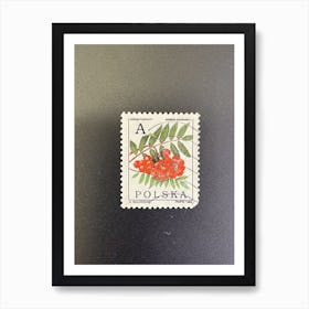 Poland Postage Stamp Art Print