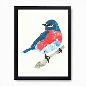 Bluebird Art Print