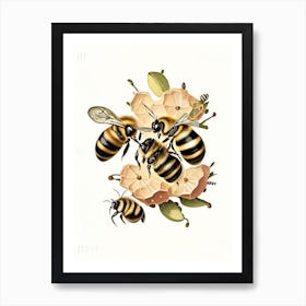 Colony Bees 3 Vintage Art Print