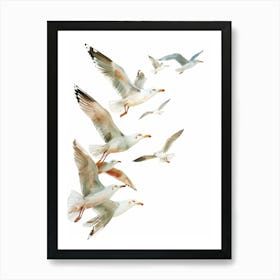 Seagulls In Flight Art Print