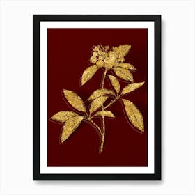 Vintage Mountain Laurel Branch Botanical in Gold on Red n.0319 Art Print