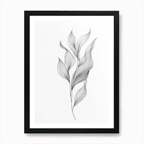 Drawing Of A Leaf 2 Art Print