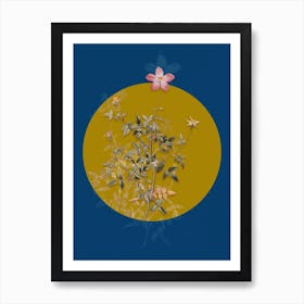 Vintage Botanical Single Dwarf Chinese Rose on Circle Yellow on Blue Art Print