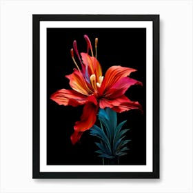 Red Lily 1 Art Print