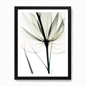 Lily Of The Valley Black And White Flower Silhouette Art Print