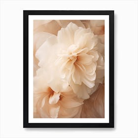 Boho Dried Flowers Camellia Art Print