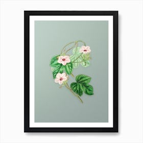 Vintage Aiton's Ipomoea Flower Botanical Art on Mint Green n.0724 Art Print