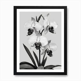 Catasetum Orchids Ink 2 Art Print