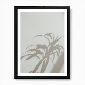 Shadow Of A Plant Art Print