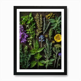 Herbs On A Dark Background Art Print