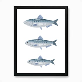 Sardines. California. USA Art Print