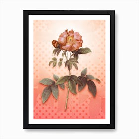 Provins Rose Vintage Botanical in Peach Fuzz Polka Dot Pattern n.0053 Art Print