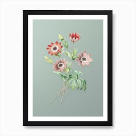 Vintage Broad Leaved Anemone Botanical Art on Mint Green n.0647 Art Print