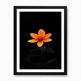 Single Orange Flower 7 Art Print