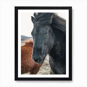 Black Horse In Iceland 1 Art Print