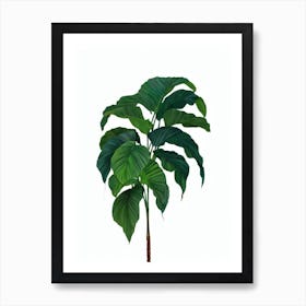 Areca Palm Tree (Dypsis Lutescens) Watercolor Art Print