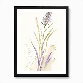 Psyllium Herb Minimalist Watercolour 2 Art Print