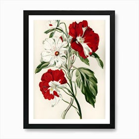 Hibiscus 32 Art Print