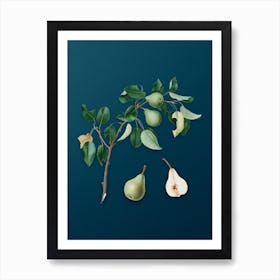 Vintage Pear Botanical Art on Teal Blue n.0760 Art Print