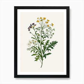 Vintage Botanical Galleria Style Wildflower Painting 29 Poster