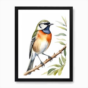 Beautiful Bird On Branch Watercolor Painting (18) Art Print