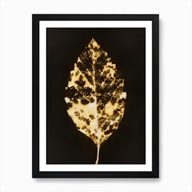 Gilded Leaf Art Print