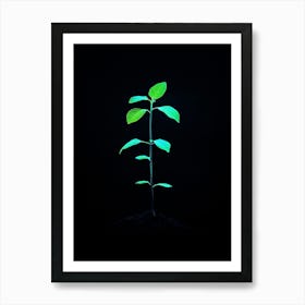 Green Plant On Black Background 4 Art Print