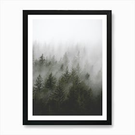 Misty Forest Pacific Northwest Art Print