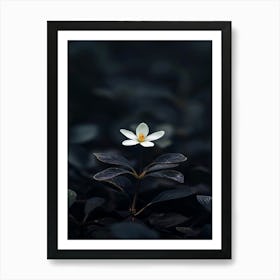 White Flower In The Dark 39 Art Print