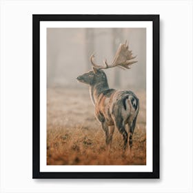 Misty Forest Deer Art Print