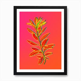 Neon Rhodora Botanical in Hot Pink and Electric Blue n.0325 Art Print