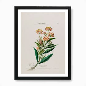 Lily Of The Valley 10 Art Print