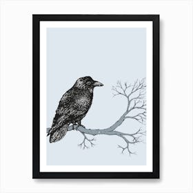 Raven pen drawing Art Print