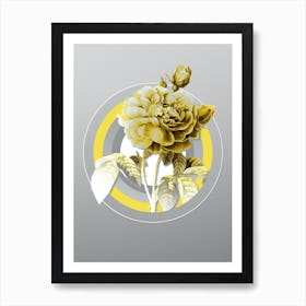 Botanical Gallic Rose in Yellow and Gray Gradient n.274 Art Print