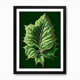 Basil Leaf Vintage Botanical 2 Art Print