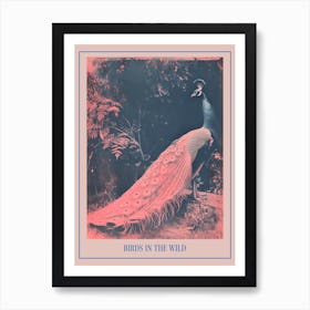 Pink & Blye Peacock Cyanotype Inspired Poster Art Print