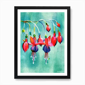 Fuchsia Flower Poster