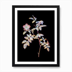 Stained Glass Pink Alpine Rose Mosaic Botanical Illustration on Black n.0255 Art Print