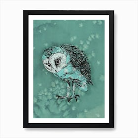 A pen drawing of a barn owl Art Print