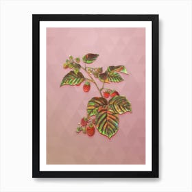 Vintage Raspberry Botanical Art on Crystal Rose n.0035 Art Print