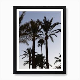 Alicante Palm Trees Art Print